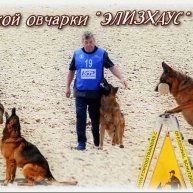 Иконка канала Питомник немецкой овчарки "Элизхаус"