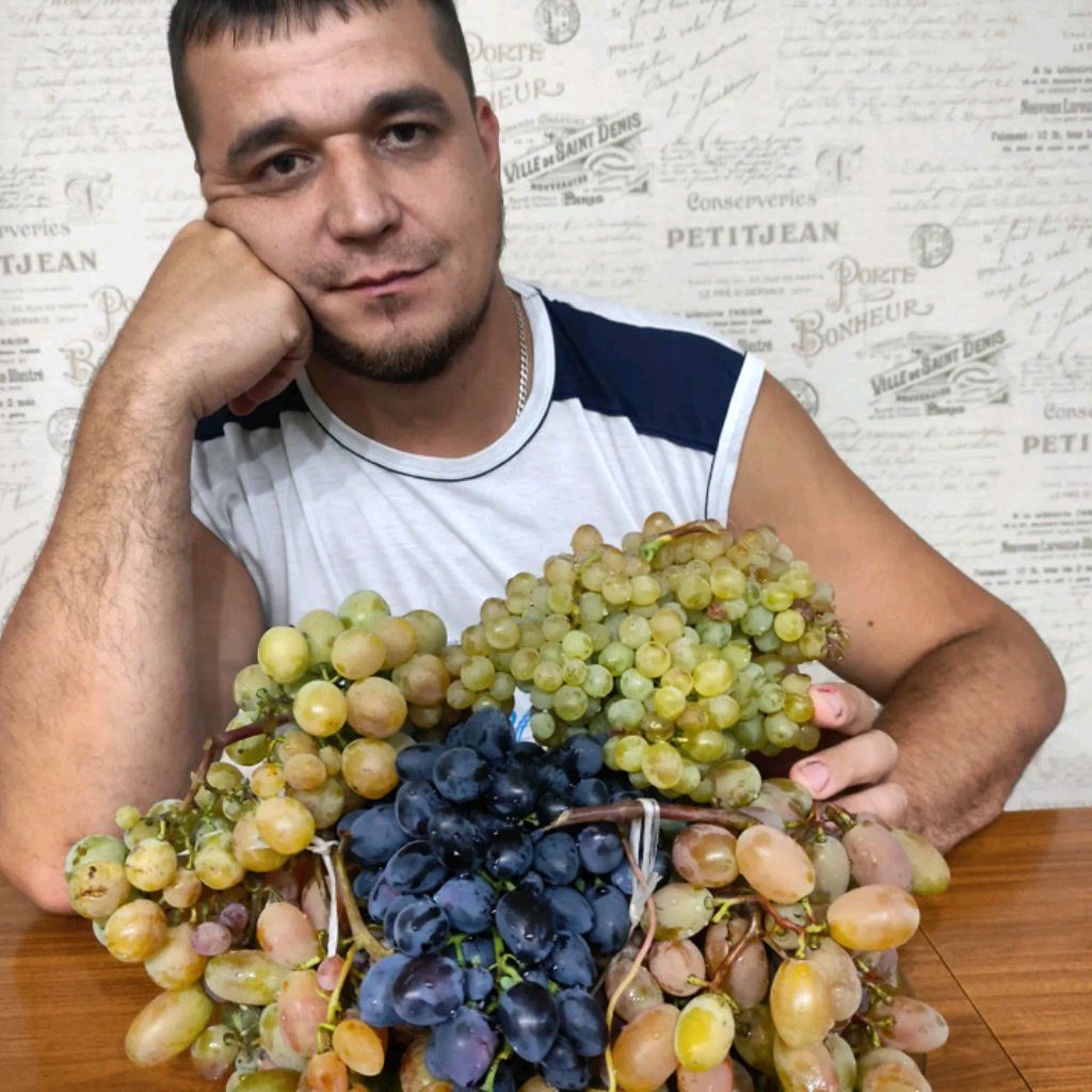 Алексей земсков