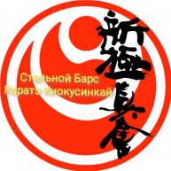 Иконка канала Стальной Барс киокусинкай