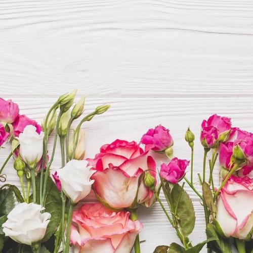 Иконка канала Mydream