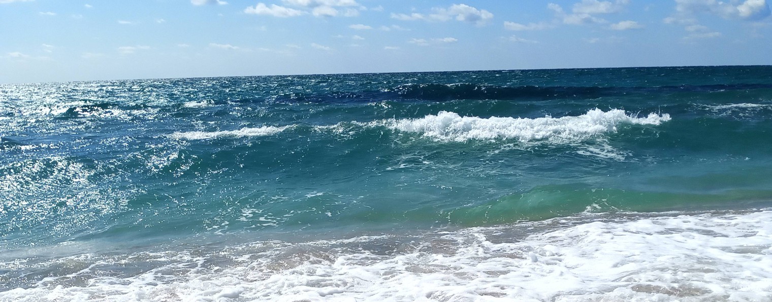 ВСЁ , ЧТО ОКРУЖАЕТ