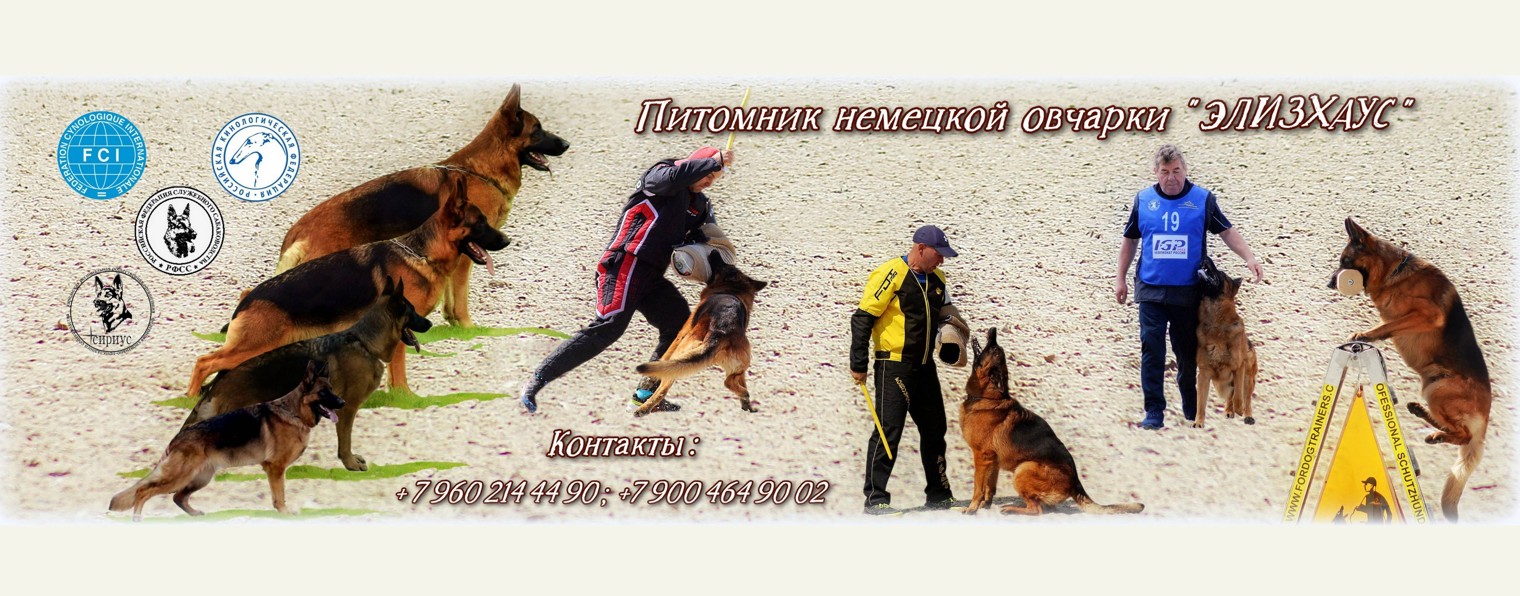 Питомник немецкой овчарки "Элизхаус"