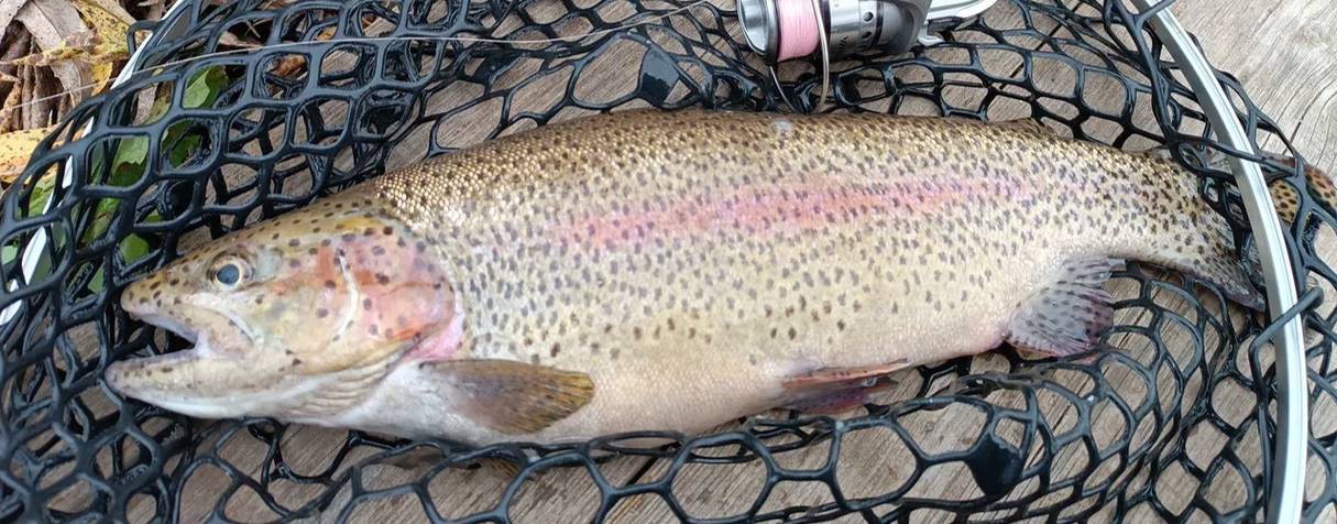 Вадим Сахалинец