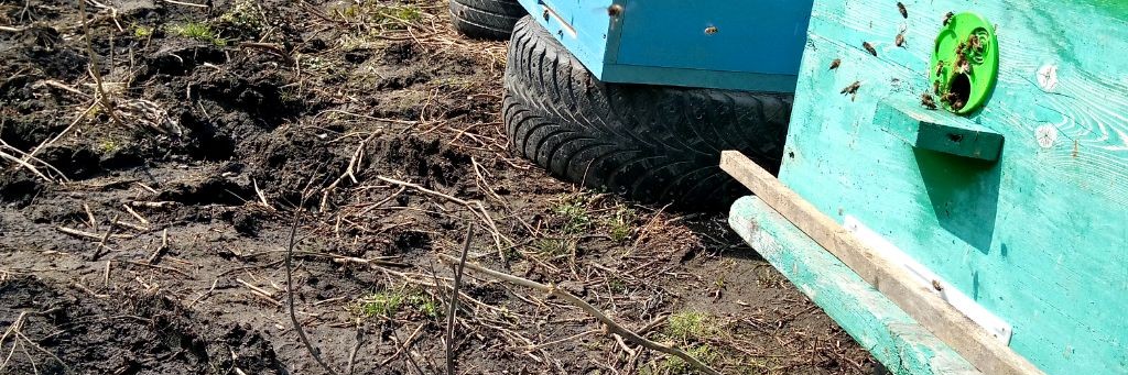 Домашняя пасека