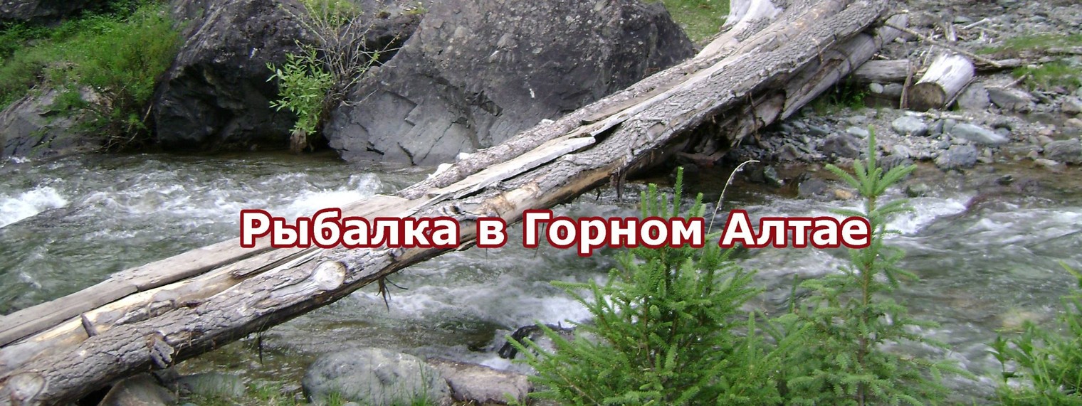 РЫБОГОЛИК-Рыбалка в Горном Алтае.