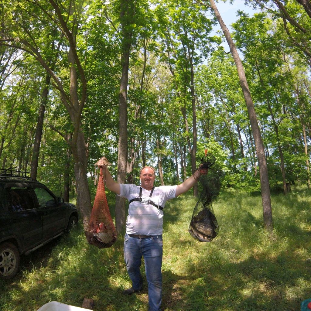 Владимир ярд