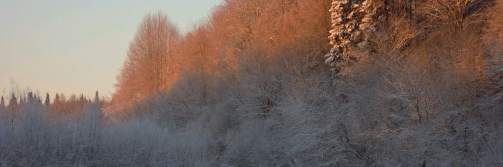 Рыбалка с Сережей
