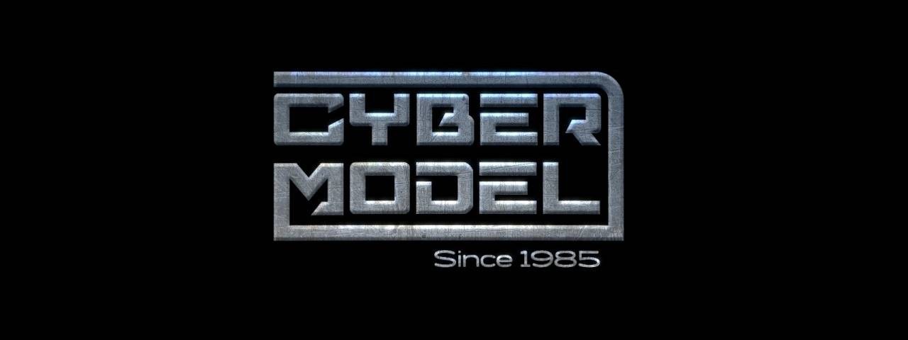 Cyber Model