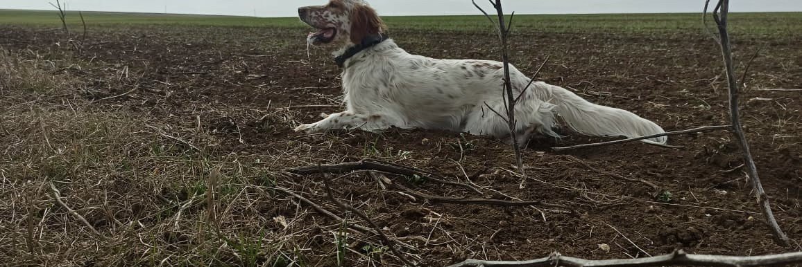 Fotiyiznizhnerusskogokhutora