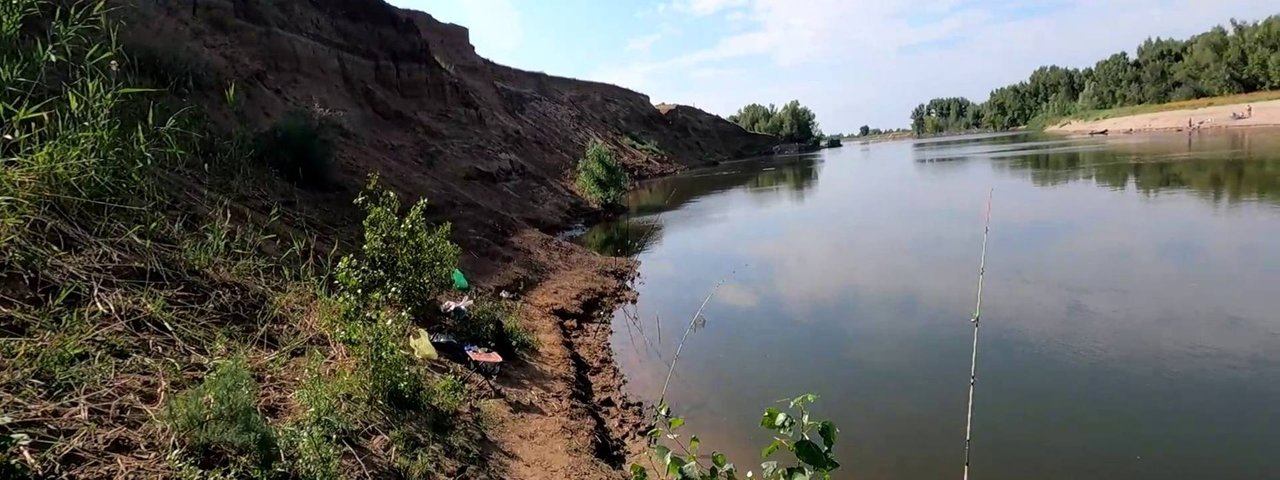 Жадная поклевка