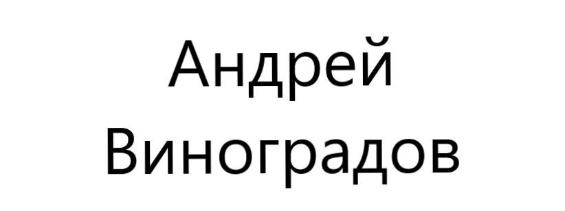 Андрей Виноградов