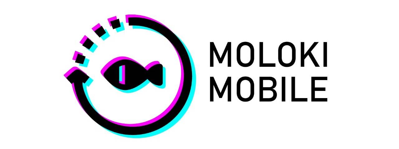 MolokiMobile - разработка и продвижение игр