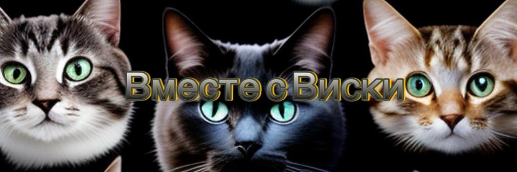 ВМЕСТЕ С ВИСКИ