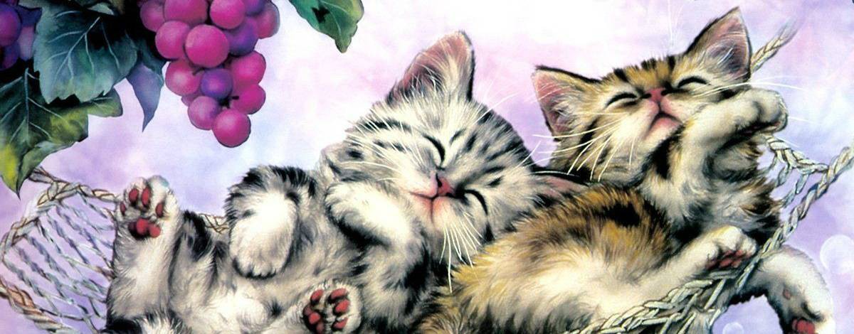 Баку Нэко 3 мои стихи моих приятелей