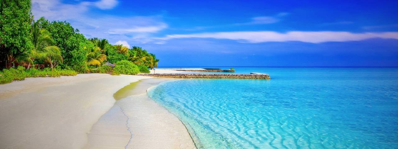 Ольга Виноградова