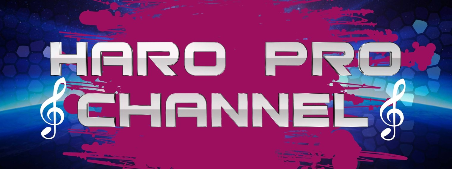Haro Pro Channel
