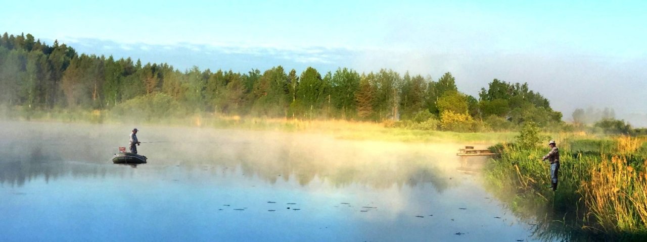 Городская рыбалка и путешествия