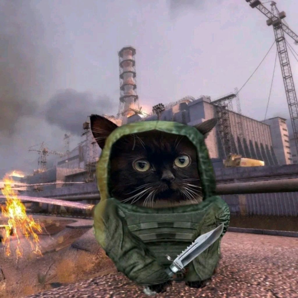 Сталкер кот баюн