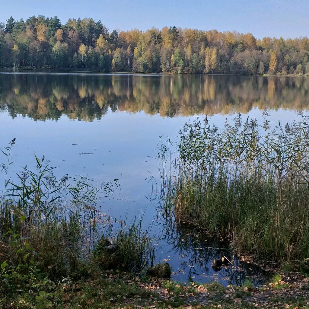 Марина Сад-огород  по-новому