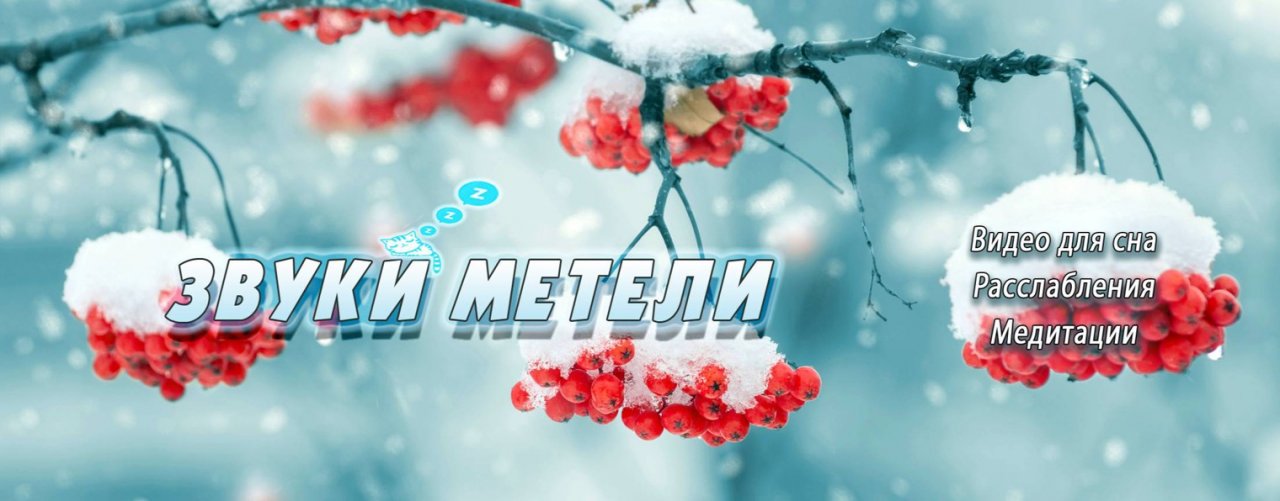 Звуки метели