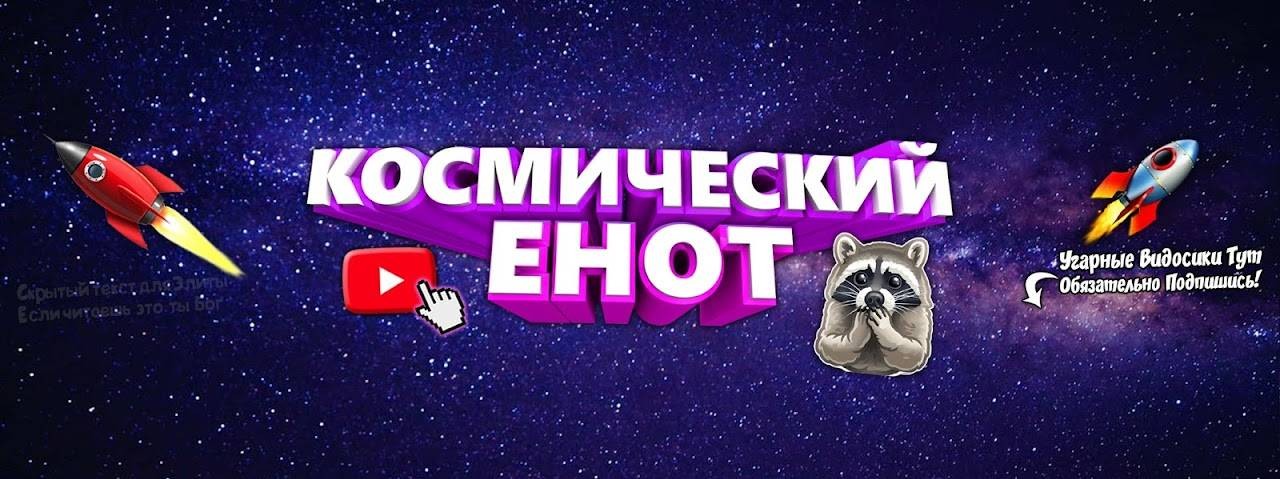 Космический Енот