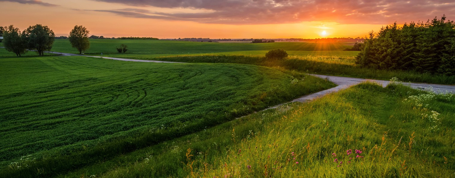 Татьяна Ситникова