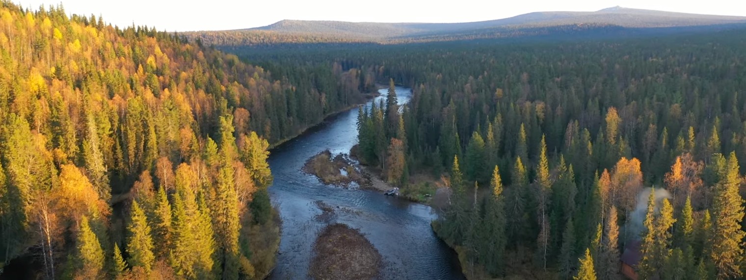 СВОБОДА 11 FREEDOM