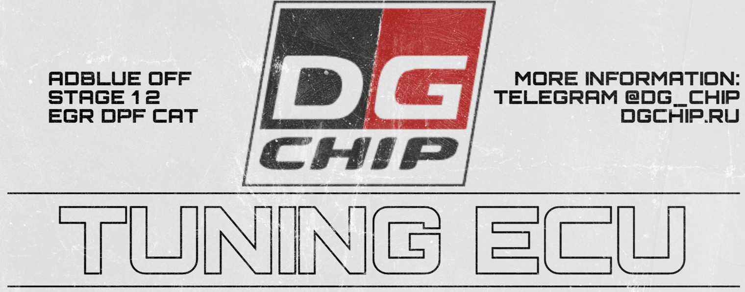 DG Chip