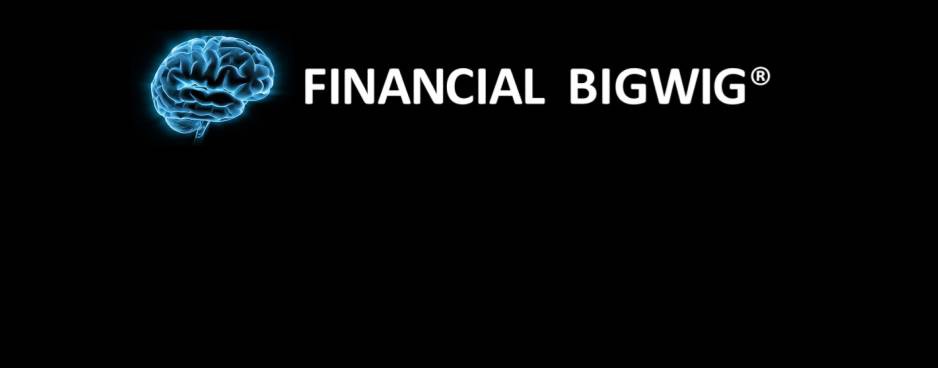 FINANCIAL BIGWIG ®