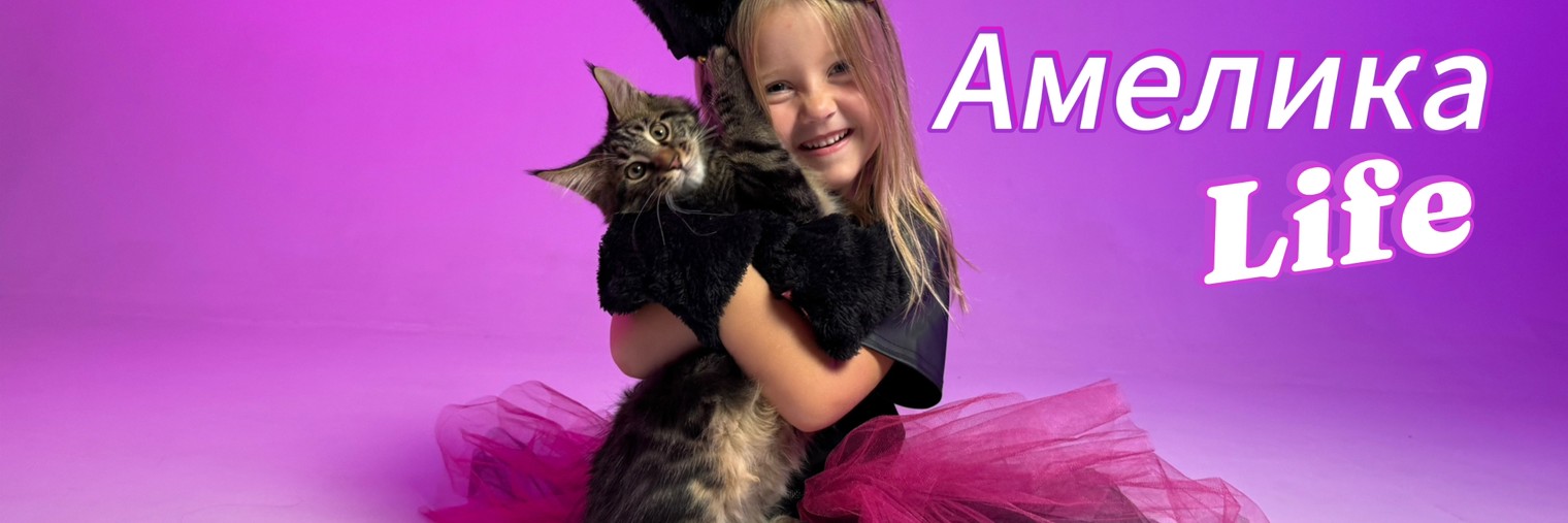 АмеликаLife