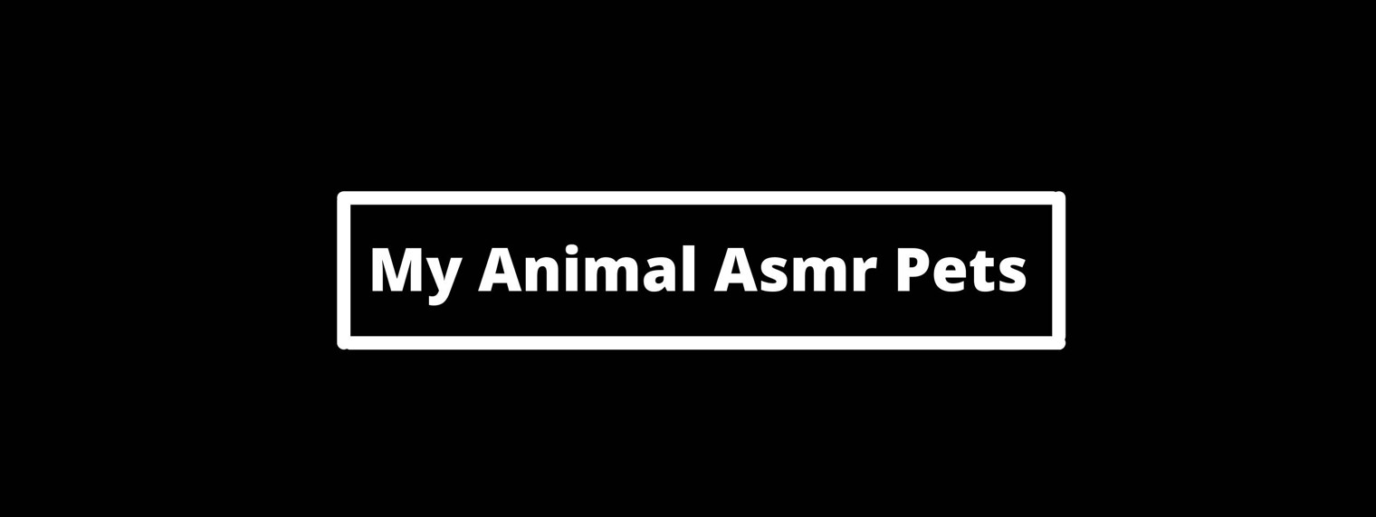 My Animal Asmr Pets