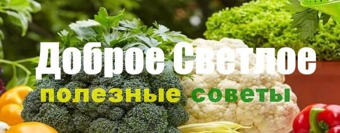 ДоброеСветлоеПолезое