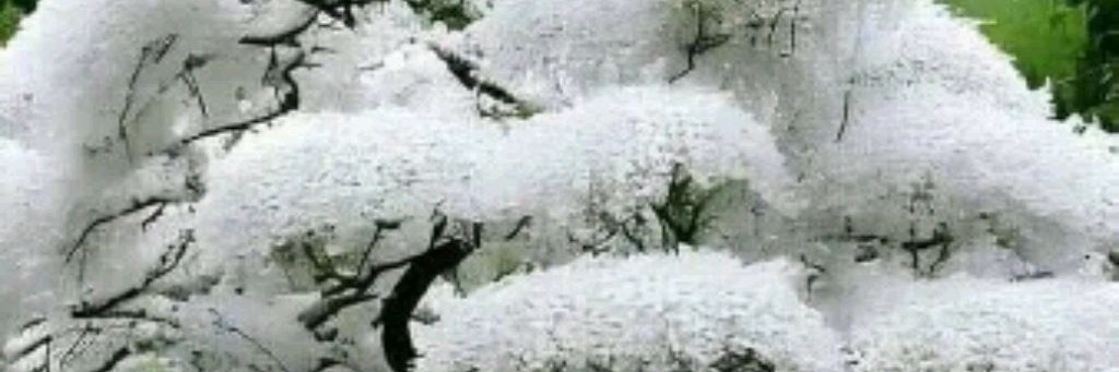 Сказка Волшебная 368