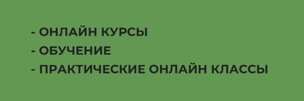 Animal Flow с Анастасией Канивец