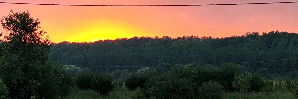 Я купил подписку