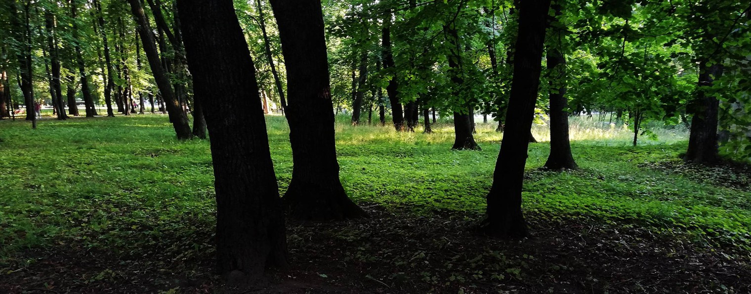 Сергей Кутанин