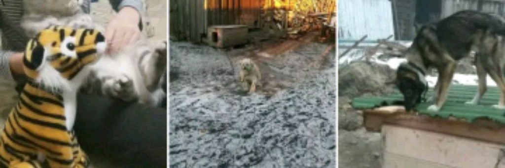 С КАЙФОМ ПО ЖИЗНИ