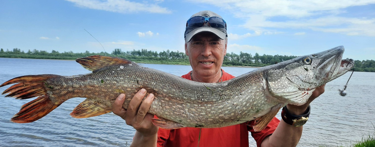 Ринат западный ветер