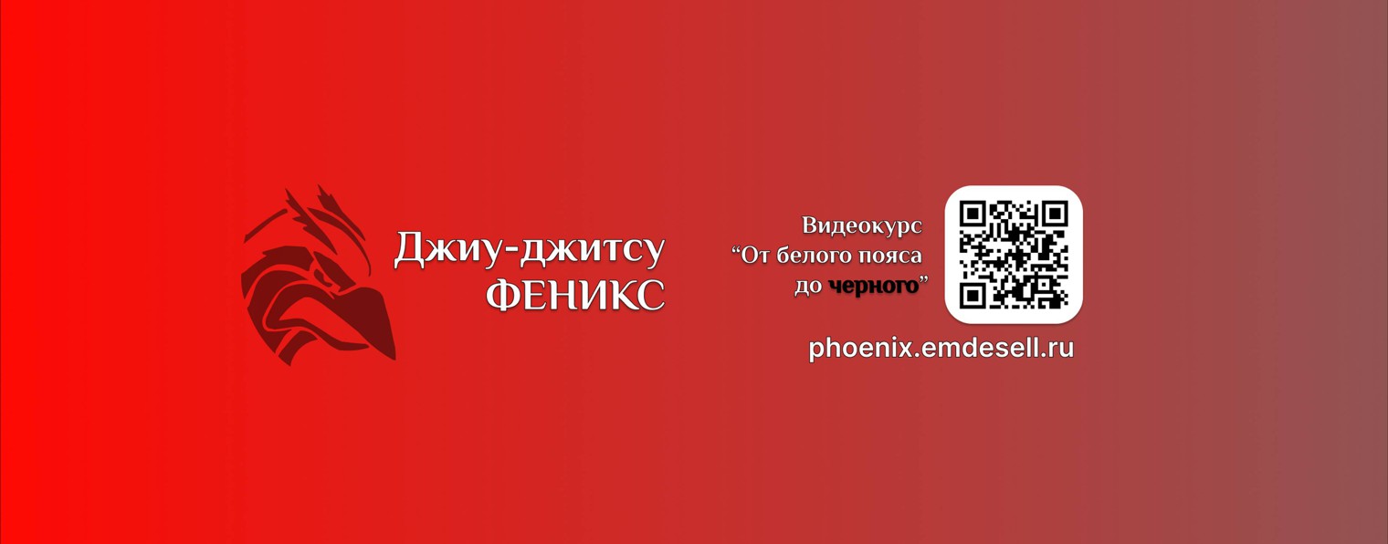 Джиу-джитсу "Феникс"