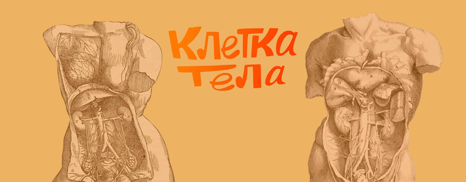 Клетка тела