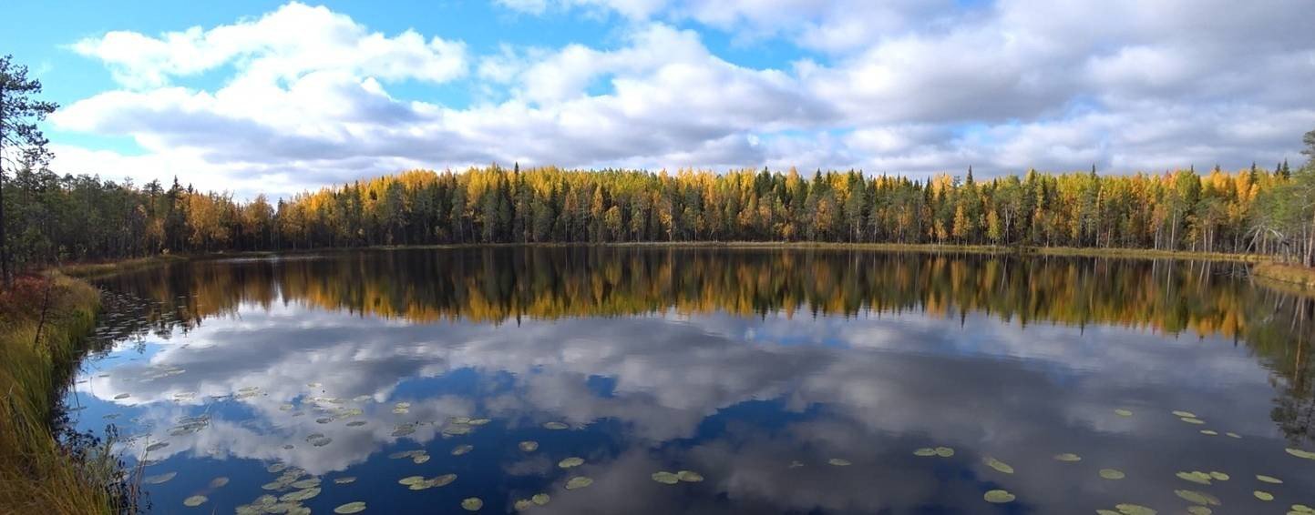 Охота в Тайге