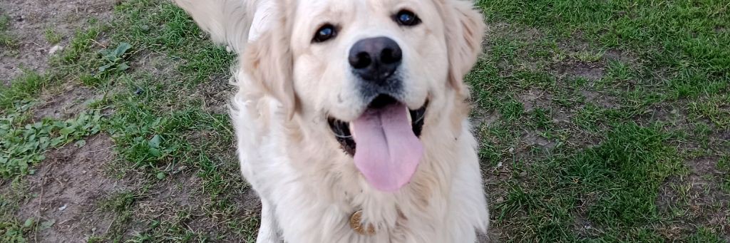 ZheDoll Страшилки