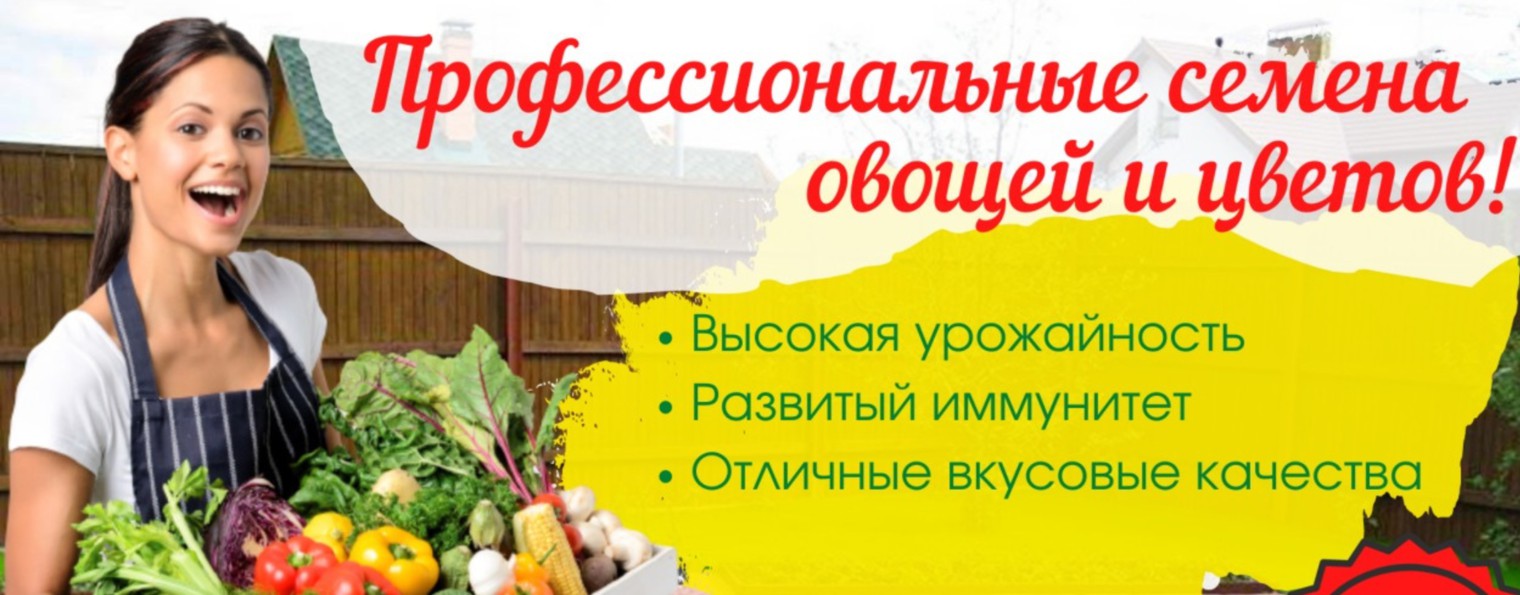ЛЕТО - СЕМЕНА
