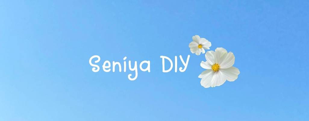 Seniya_DIY