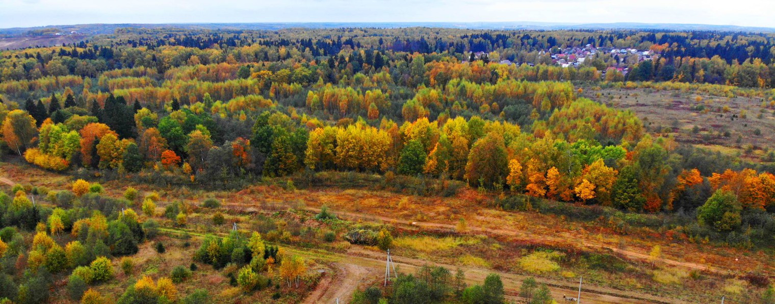 Земельный магнат