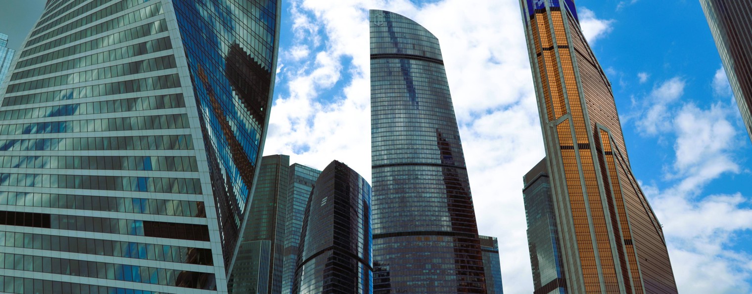 Приключения с Романом