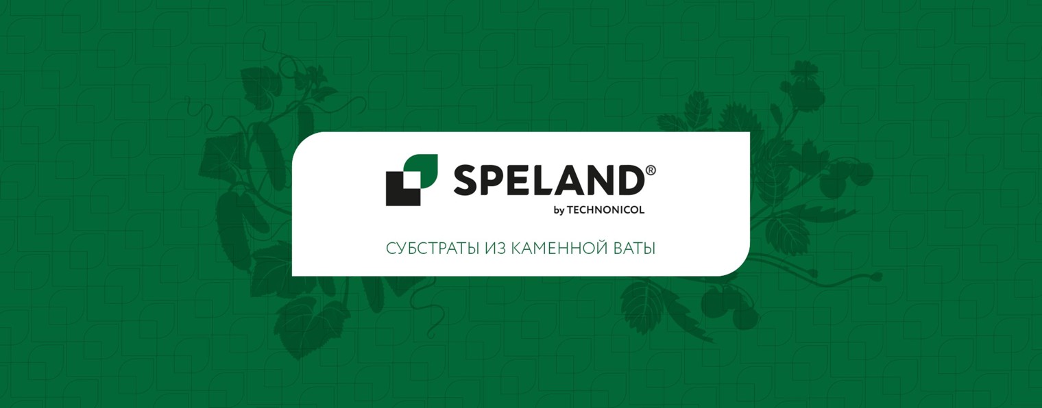 СУБСТРАТЫ SPELAND