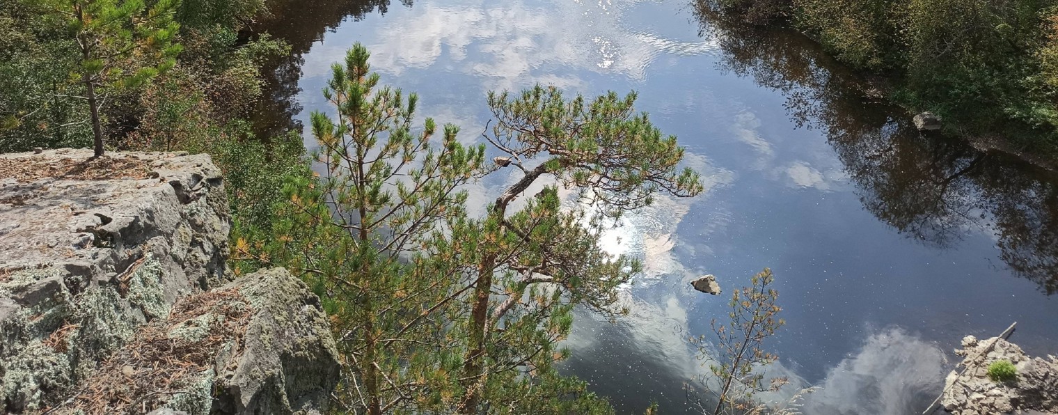 давай прохватим вместе Нижний Тагил ну и порыбачим