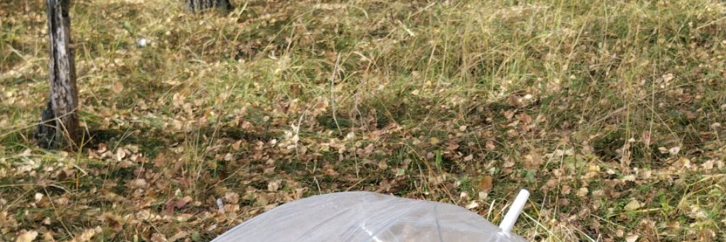 Будни Эллы или it,s my life