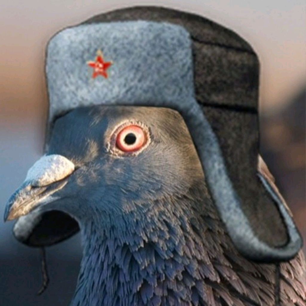 Голубь. Голубь в сапогах. Голубь в кепке. Голубь. Голубь в кепке.